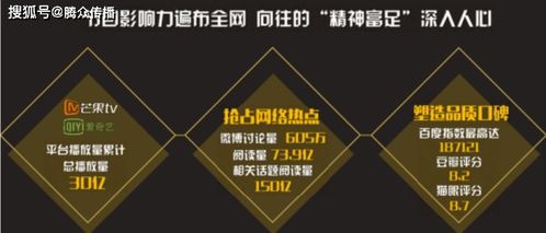 湖南电视台广告策略解析：创新与实效并行